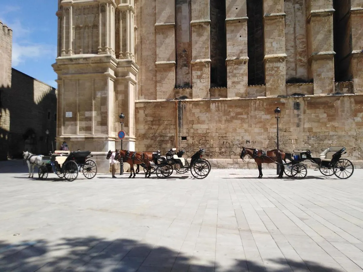 Mystique Apartment Palma de Mallorca Homestay
